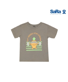 SaRa Boys T Shirt (BTS32FKB-Grey), Baby Dress Size: 5-6 years